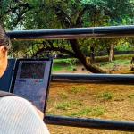 World Youth Skills Day: Empowerment through Artificial Intelligence (AI)