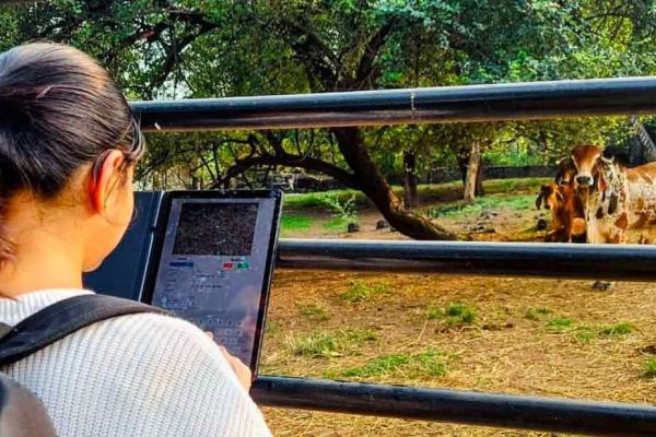 World Youth Skills Day: Empowerment through Artificial Intelligence (AI)