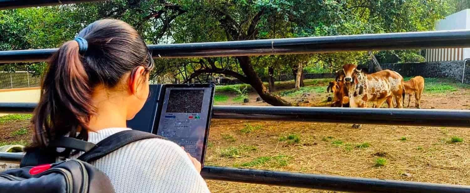 World Youth Skills Day: Empowerment through Artificial Intelligence (AI)